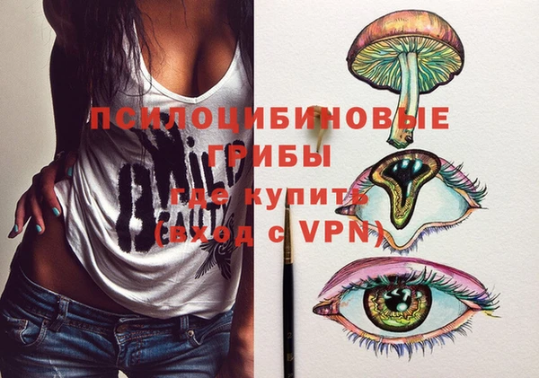 Альфа ПВП Аркадак